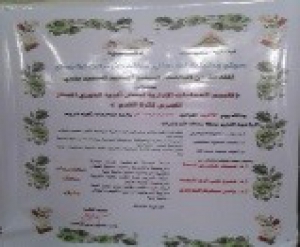 Master Thesis Discussion of the Researcher\ Ahmed Mohamed Abd El Baqy Ahmed