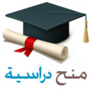 Finland's scholarship for the students in the Egyptian Universities