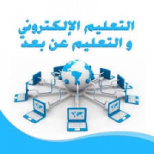 Putting into action the E-learning at the center of E-services in the supreme council of the Egyptian Universities
