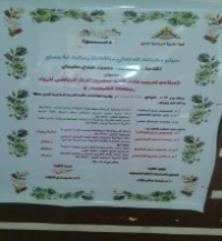 Master Thesis Discussion of the Student\ Mahmoud Hamdy Soliman