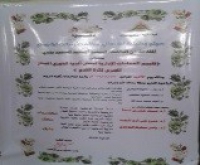 Master Thesis Discussion of the Researcher\ El Saeed El Sayed Badawy